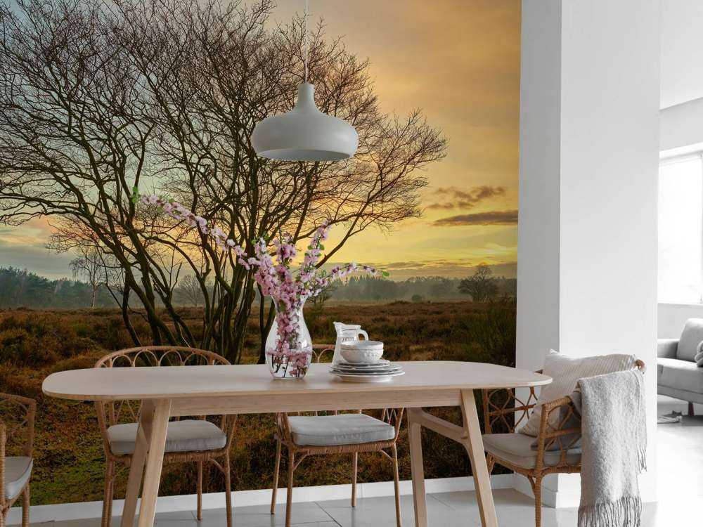 Soloppgang over heien