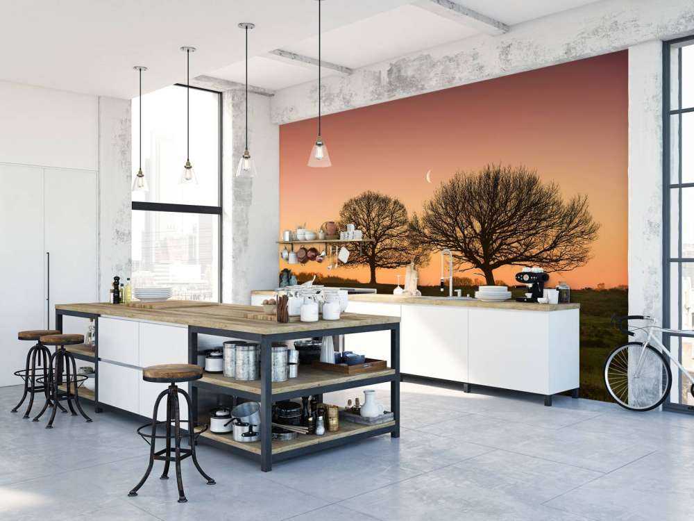 Maantje tussen de bomen