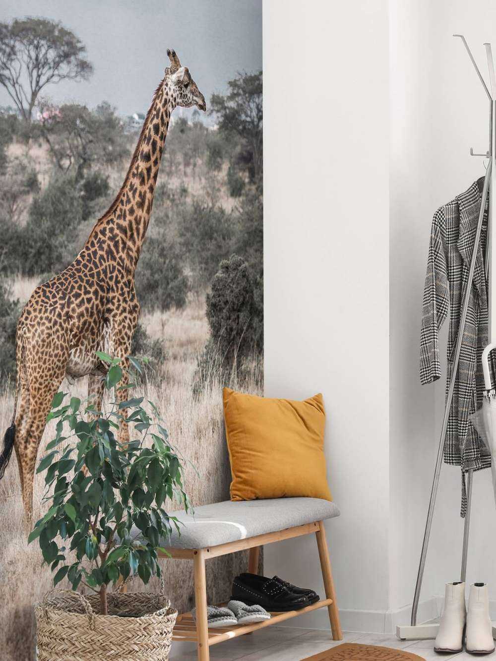 Giraff porträtt