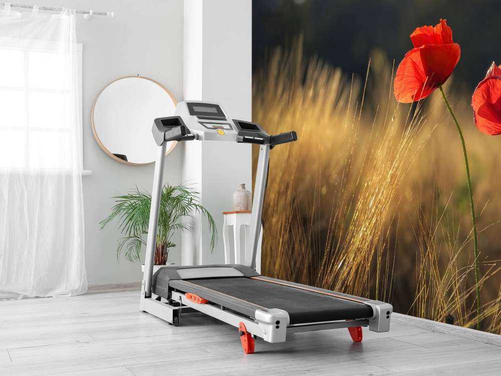 Vallmo i ett vetefält