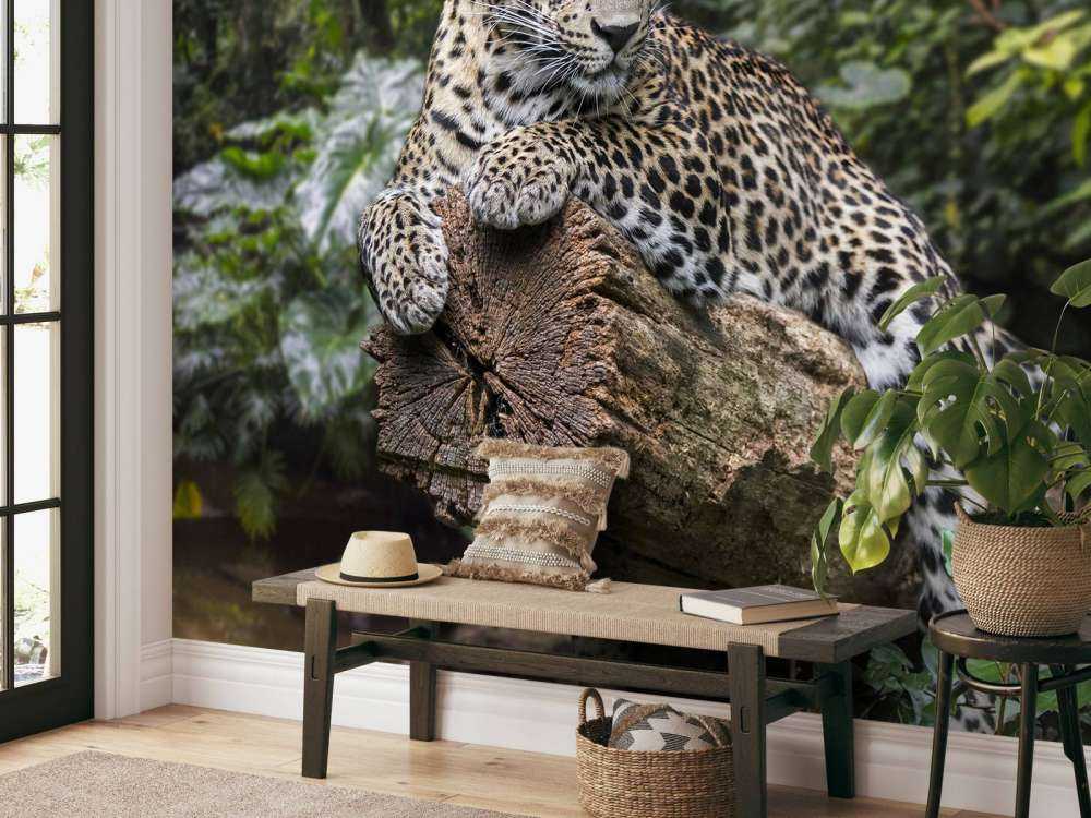 Leopard på träd