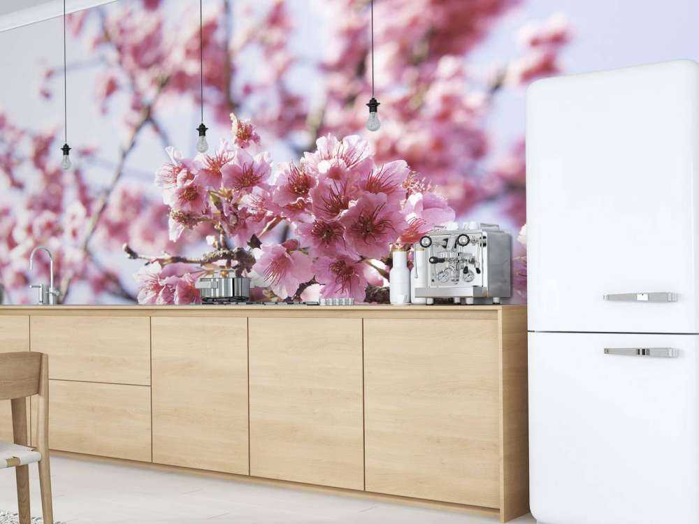 Närbildrosa blomning