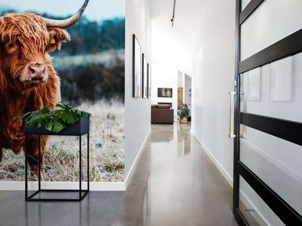 Skotsk hoglandare i skogen