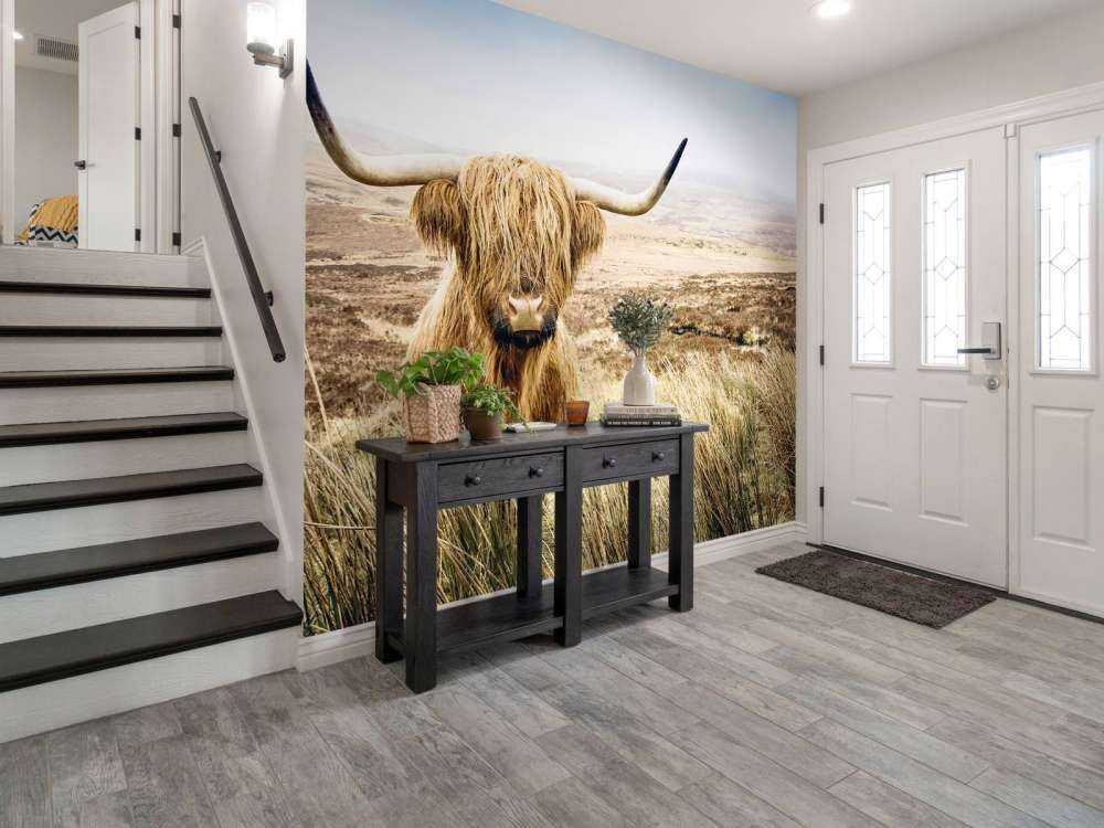 Skotsk hoglandare med vass