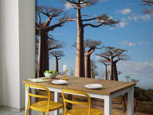 Baobab träd