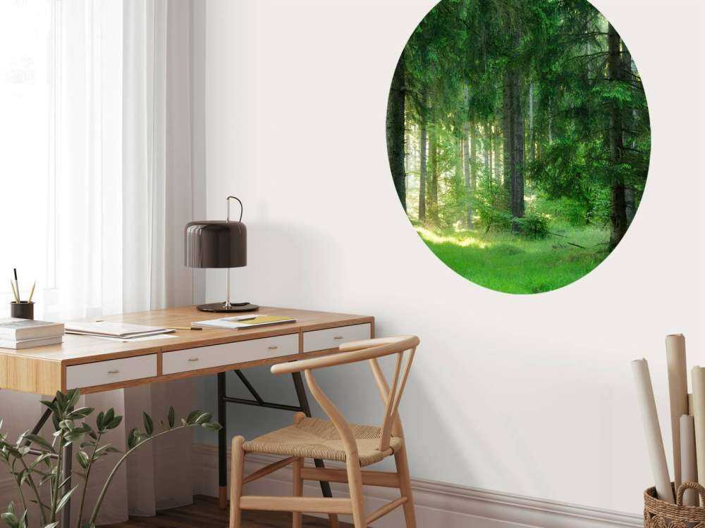 Grön barrskog