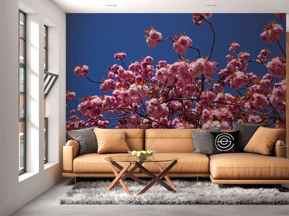 Rosa blomma med blå himmel