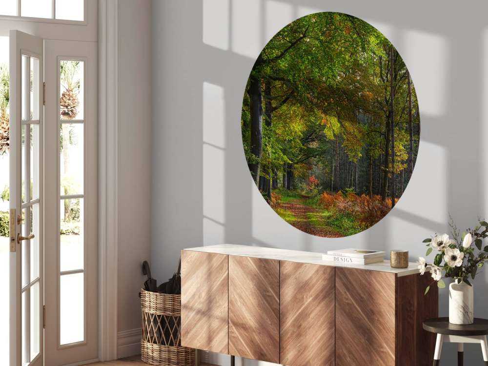 Stigen med löv genom skogen