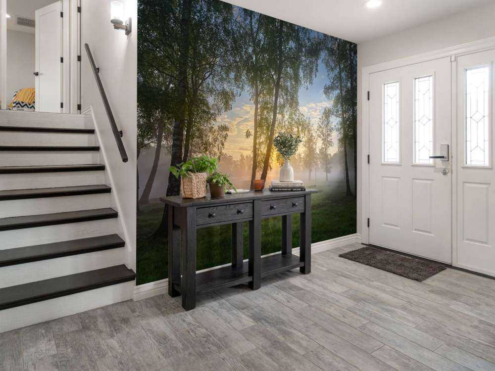 Soluppgång vid björkarna