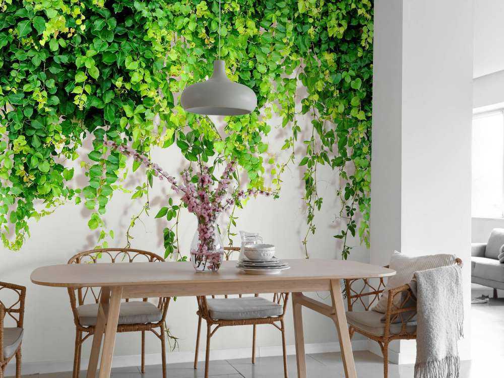 Gröna hängande grenar