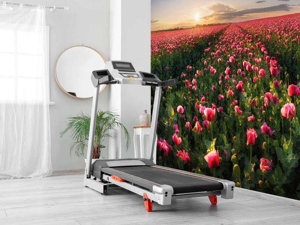 Fält med rosa vallmo