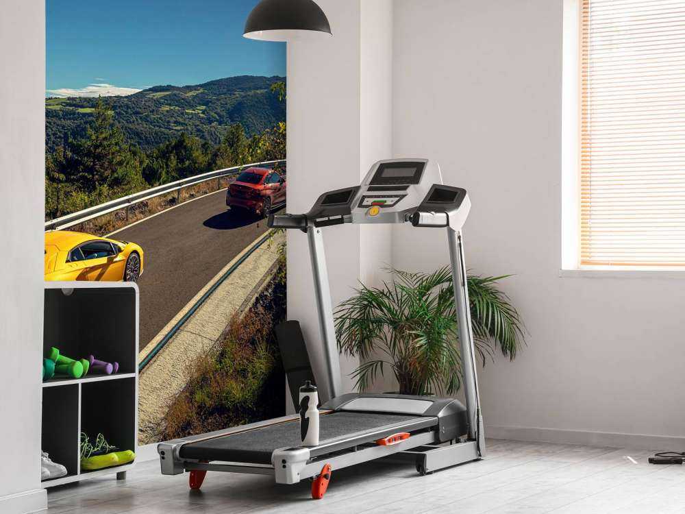 Snabba kurvor, kraftfulla motorer