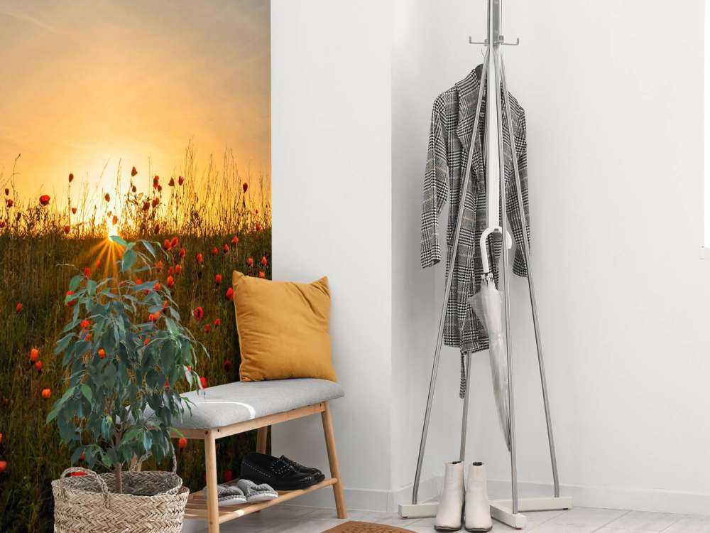 Red poppies and sunrise