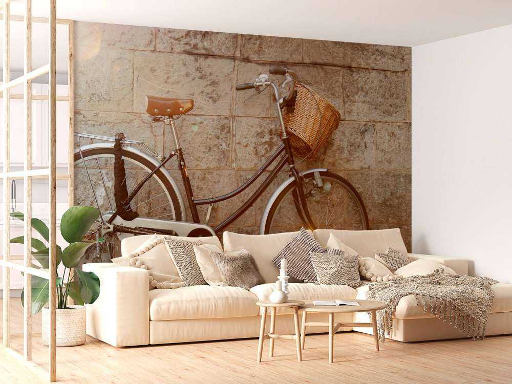 Retrocykel
