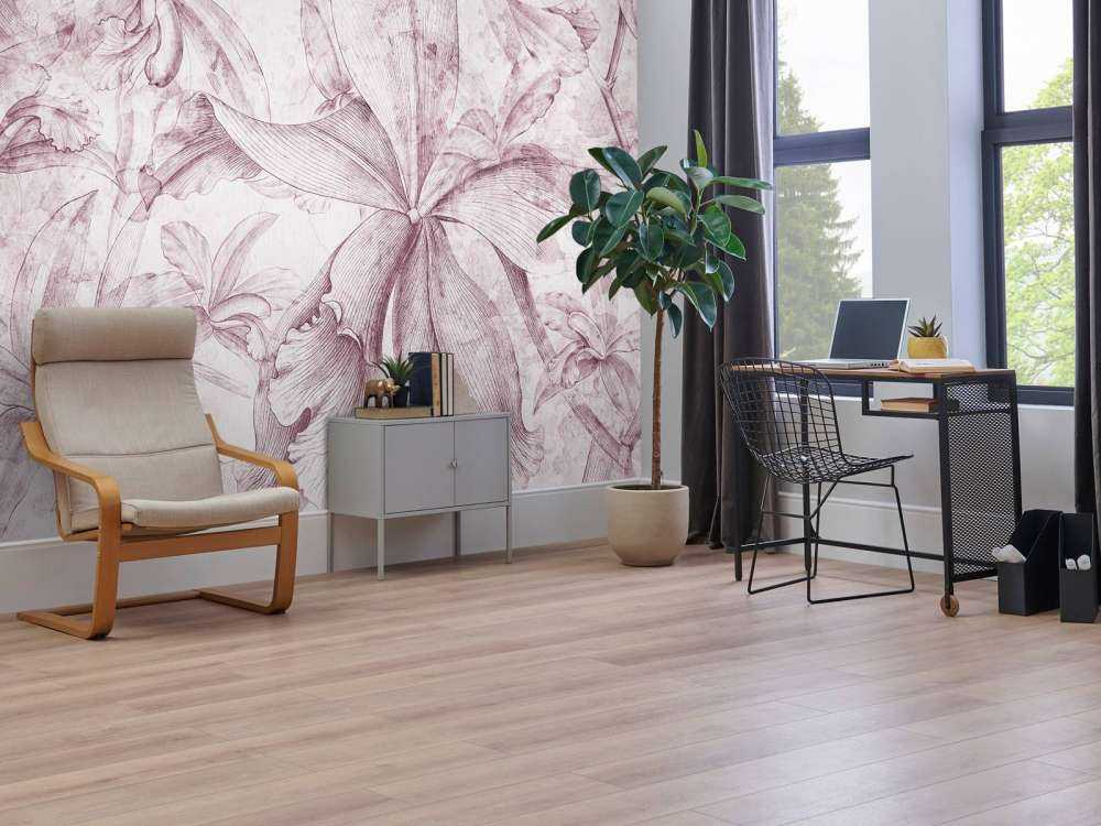 Orchids Contour 7