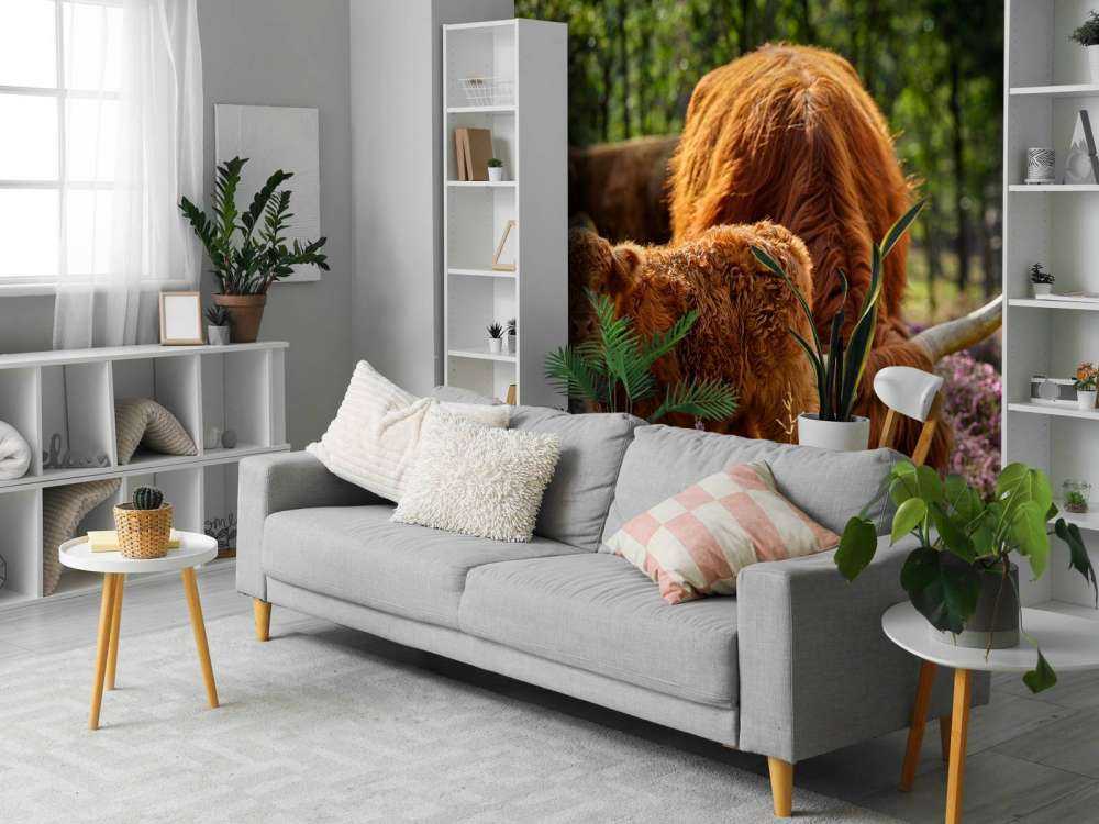 Familie skotske højlandere