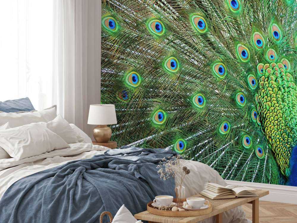 Påfugl