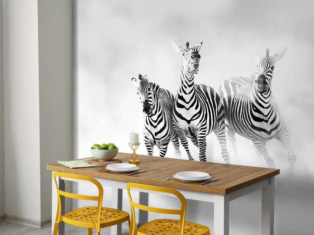 Zebraer