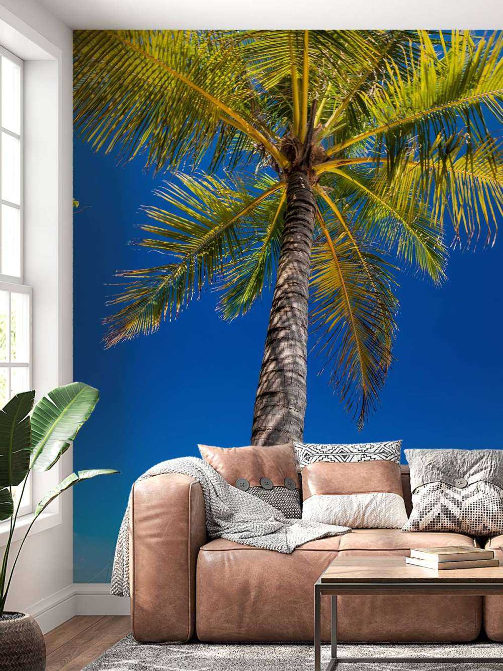 Palme på maldiverne