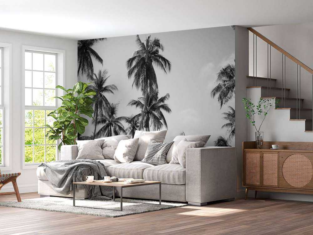 Palmer i sort og hvidt