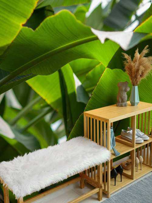 Palme blade
