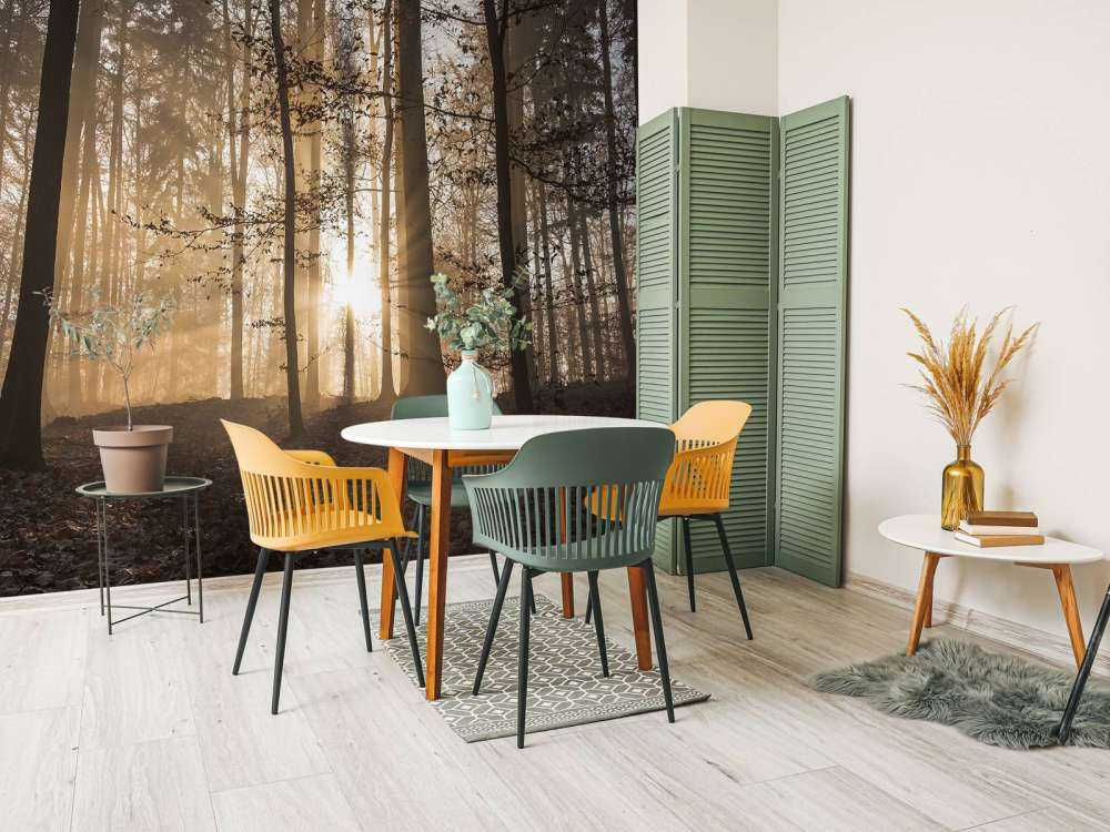 Solskin i en tåget skov