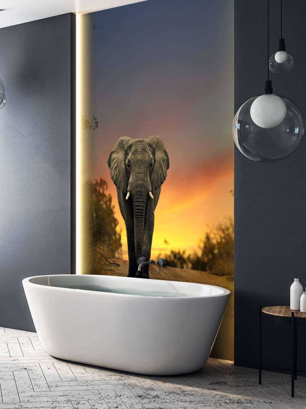 Elefant i solnedgangen