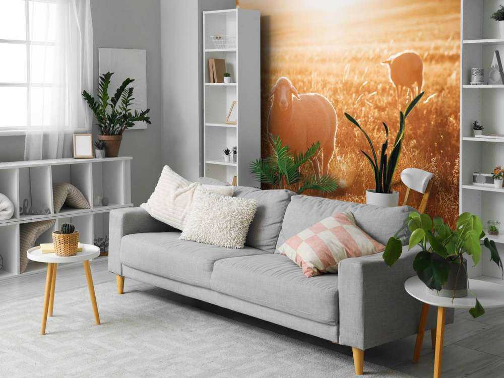 Får på smuk græsmark