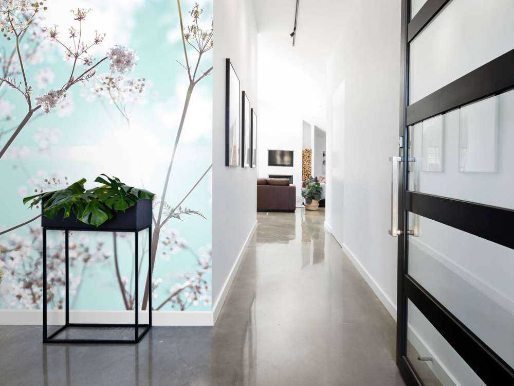 Mandelblomst i solen