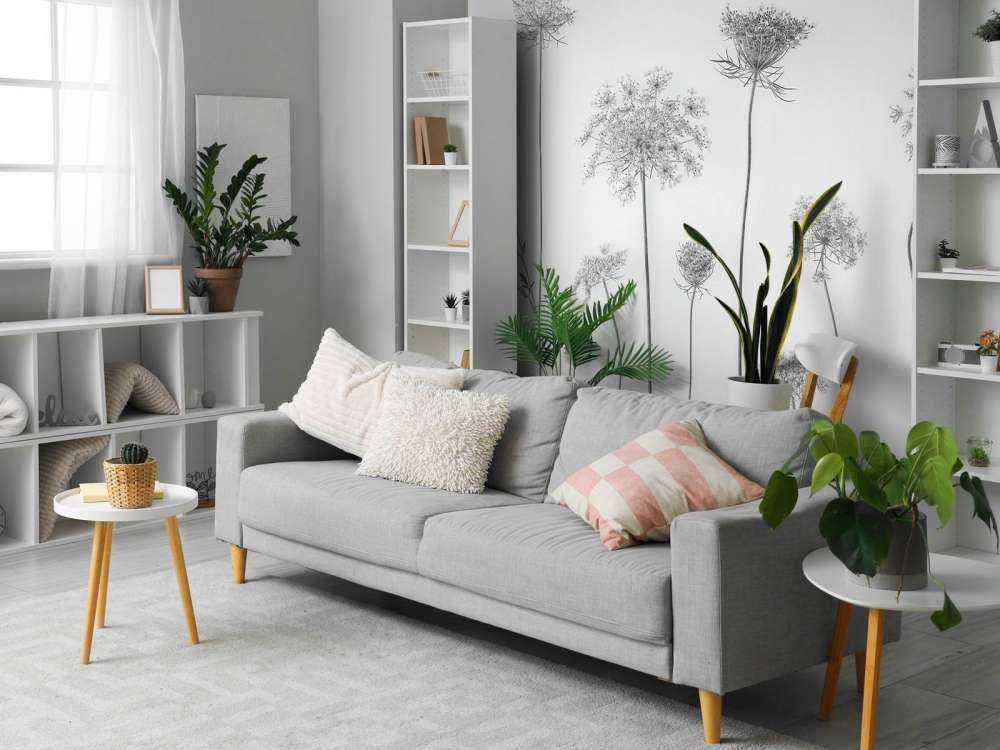 Ko persille i sort og hvid