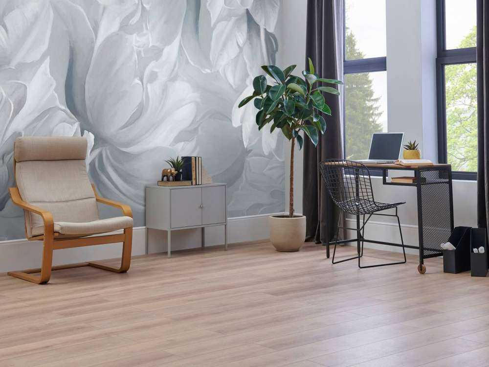 Store tulipaner hvide