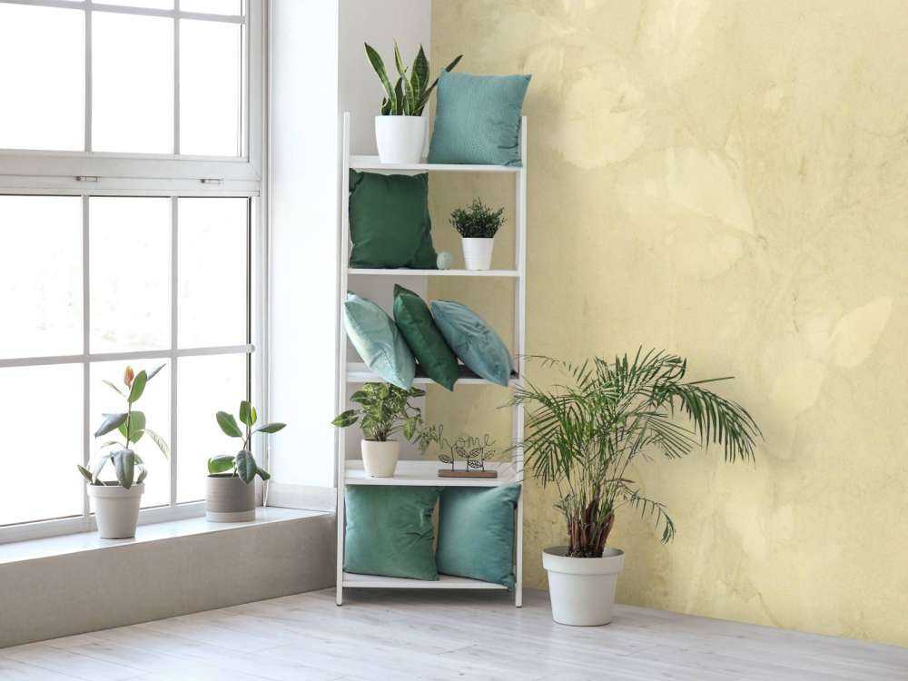 Weegbree og vild geranium - drømmende grøn