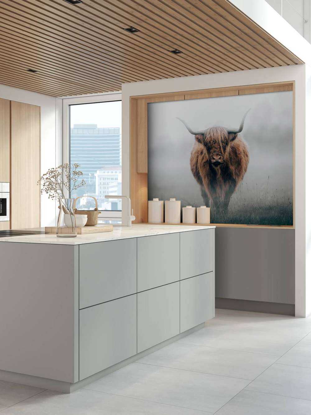 Skotsk højlænder i tæt tåge