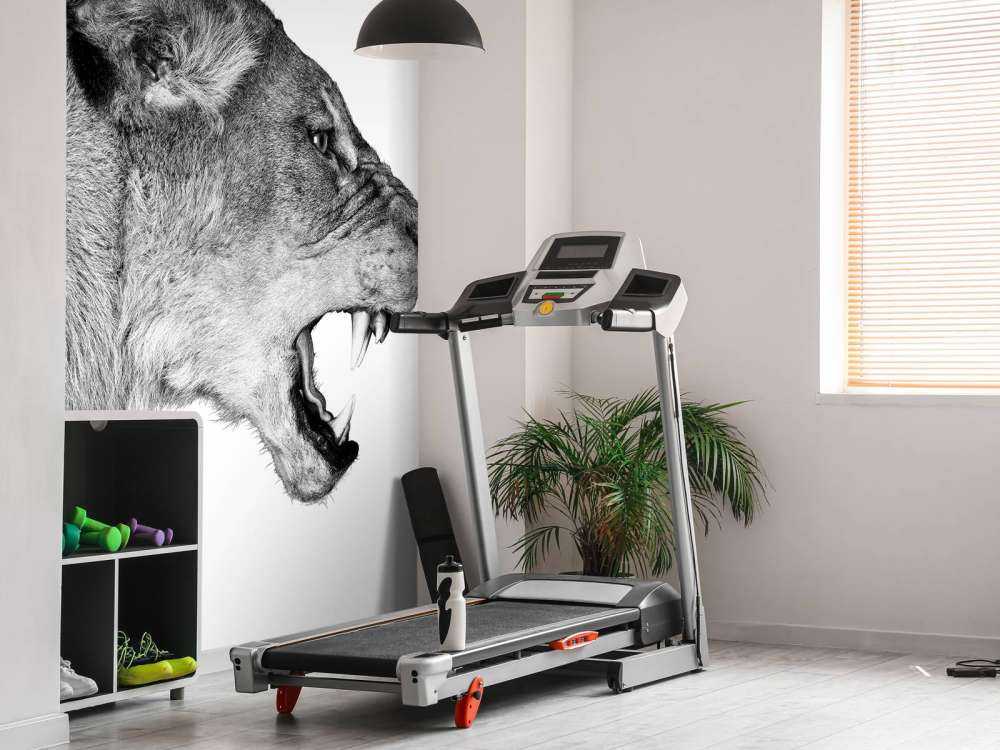 Løvinde set fra siden, hvid