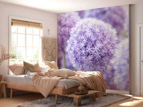 Purple Alliums