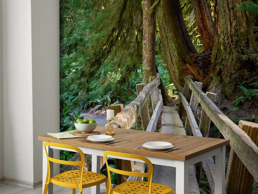 Træbro gennem skoven