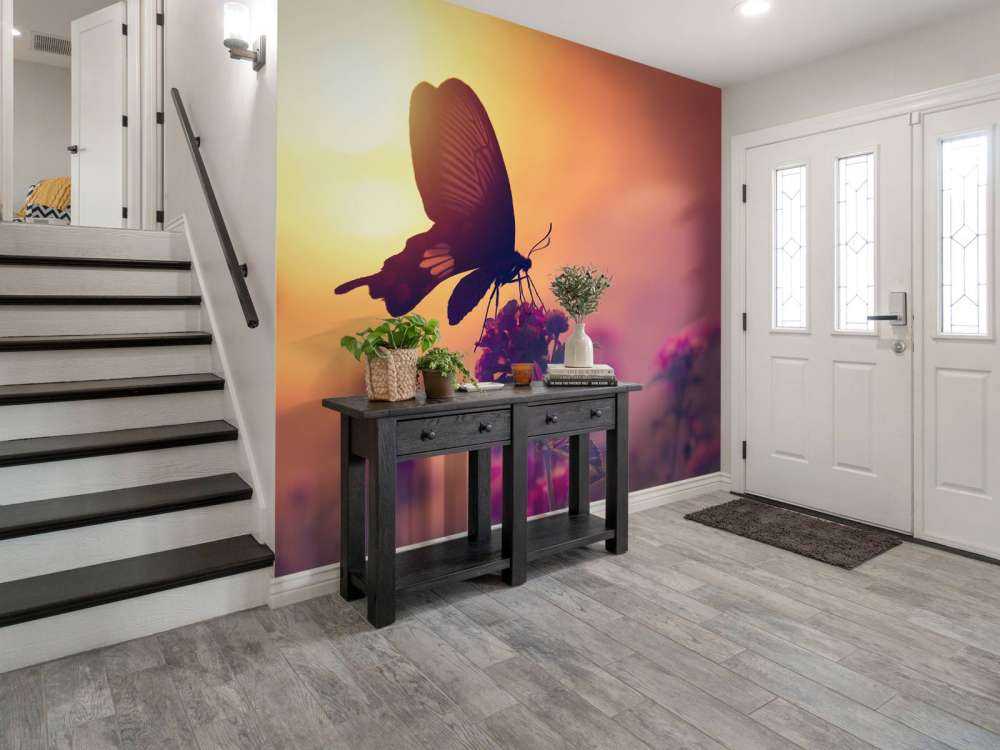 Sommerfugl med solnedgang