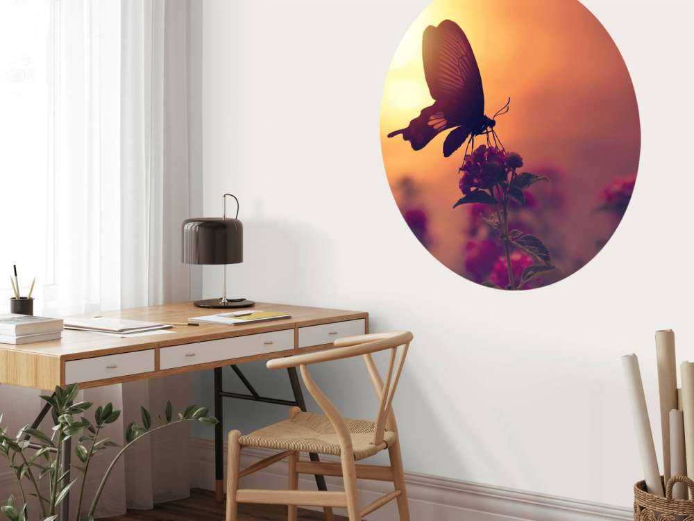 Sommerfugl med solnedgang