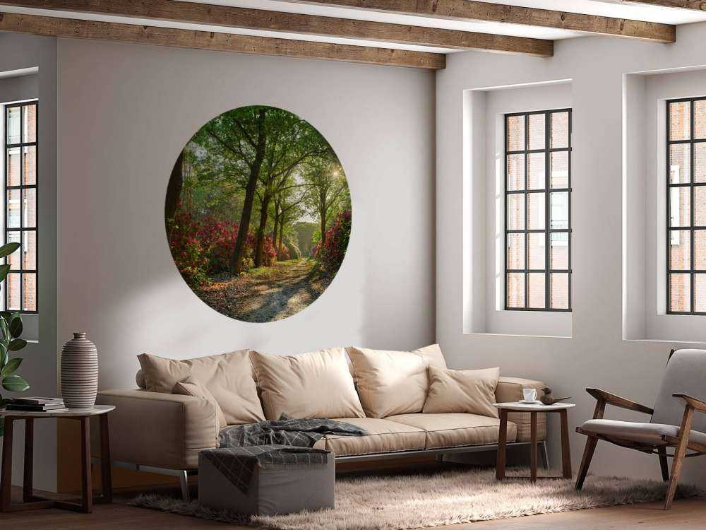 Soloppgang med sti med rododendroner