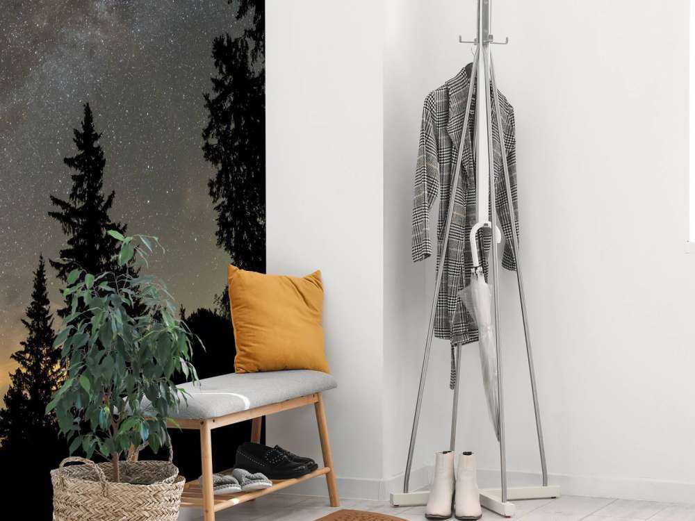 Himmel full av stjerner