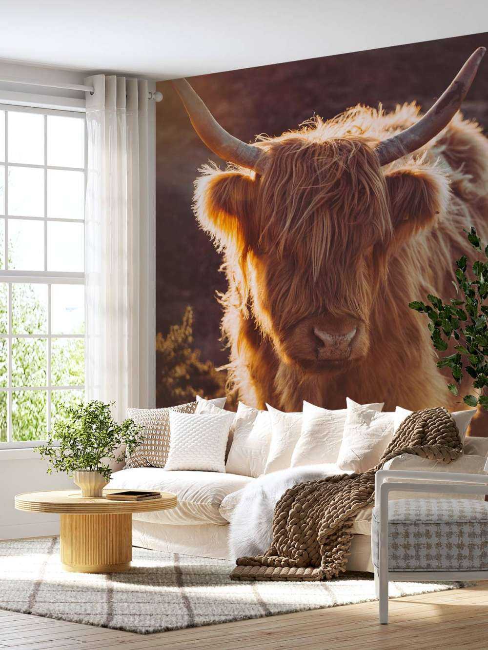 Det skotske høylandet i solen