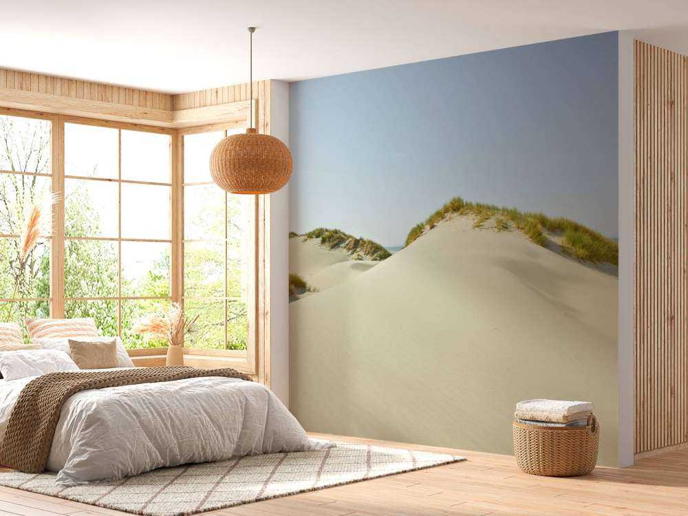 Sanddyrner på stranden