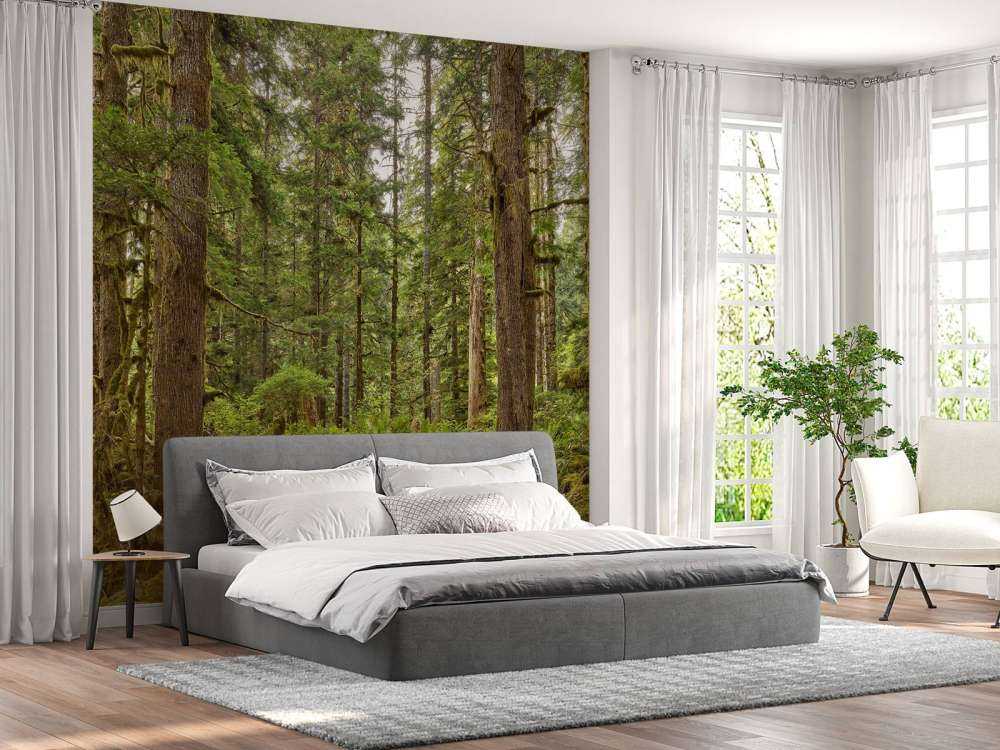 Feral skog