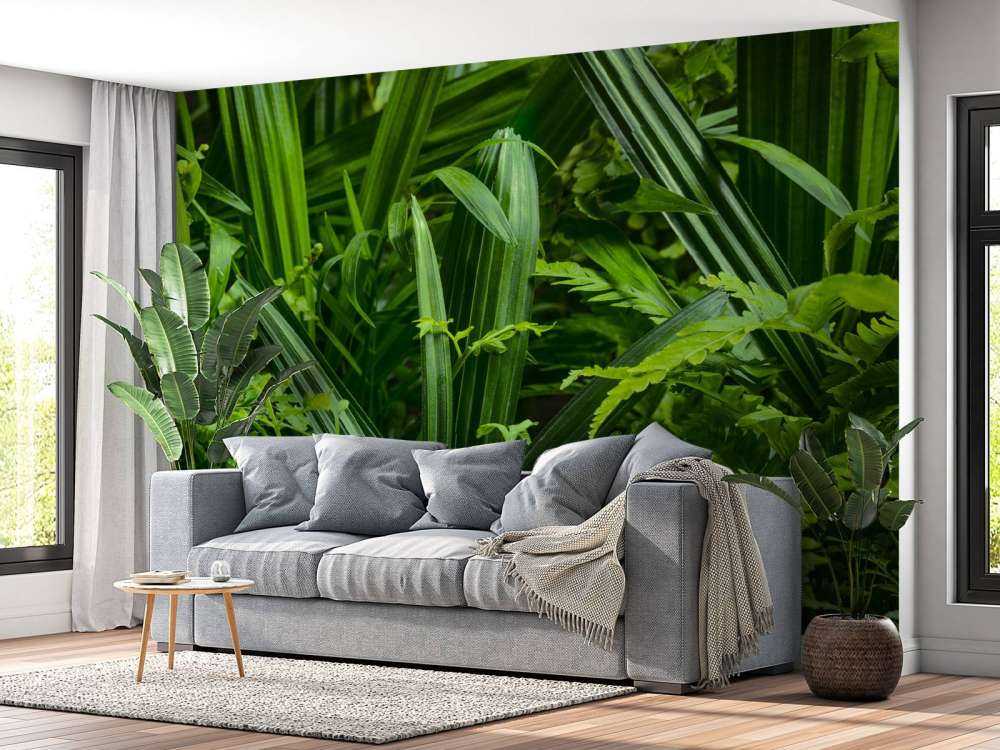 Panorama med planter