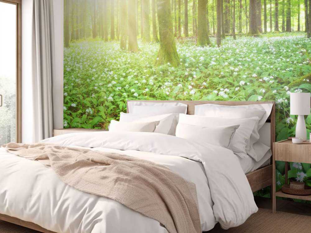 Vill skog ved soloppgang