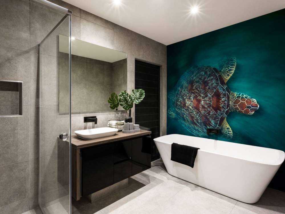 Vaclocity Turtle