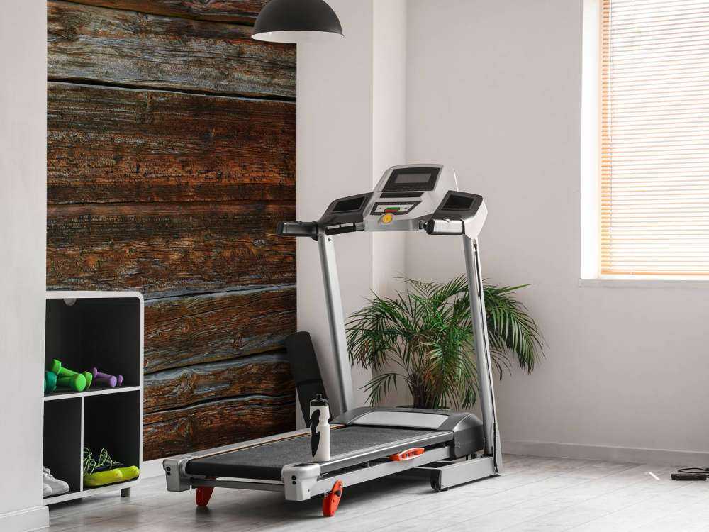 gamle tre med støtte strålen