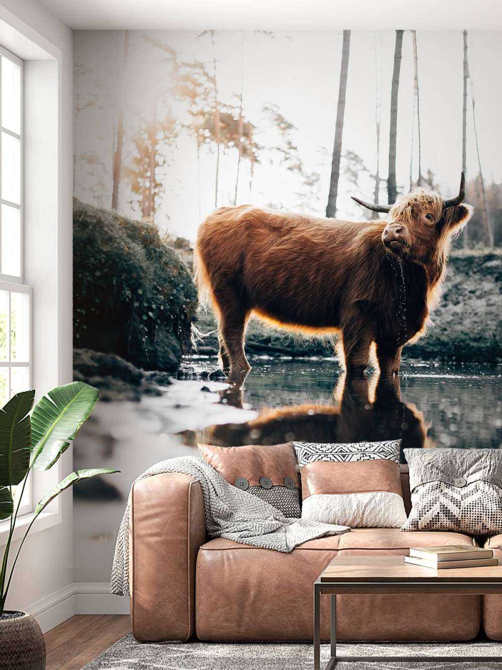 Skotsk høylander i vannet