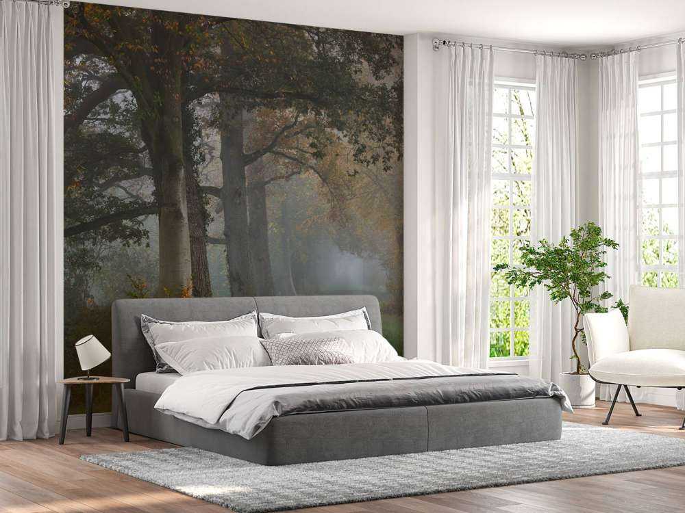 Lane med trær i tåken