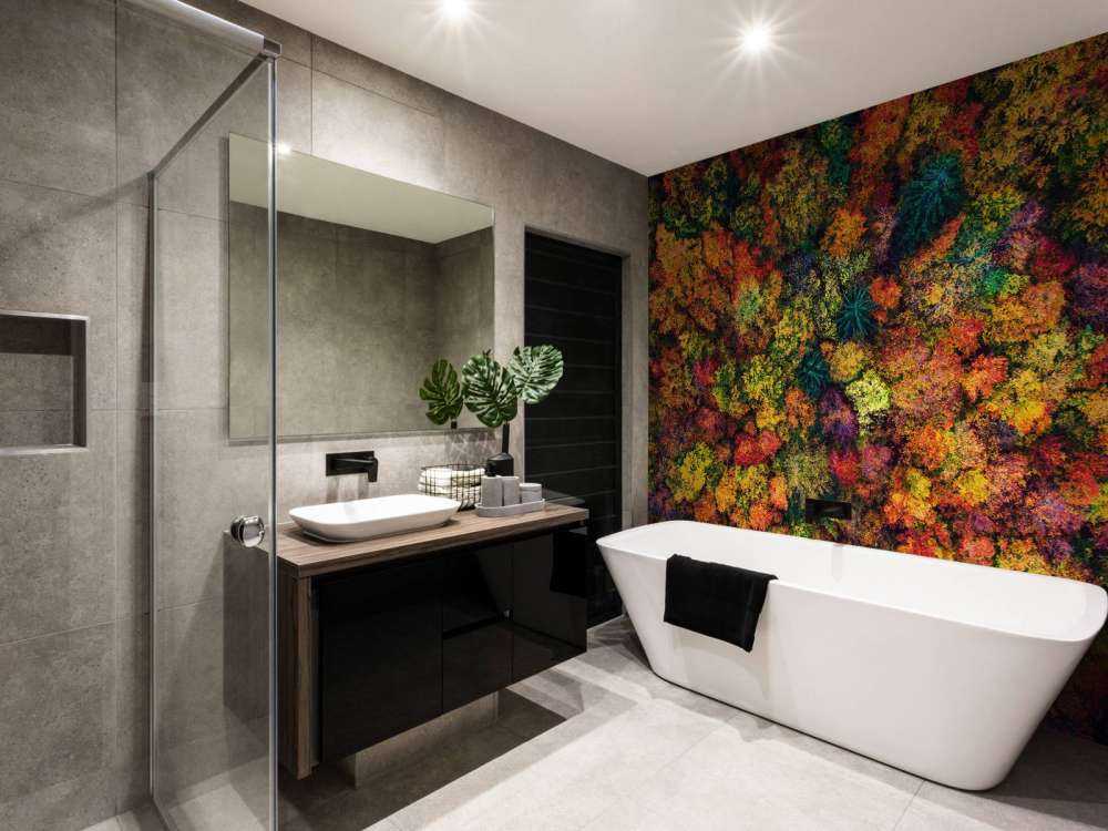 Luftfoto over høstskogen